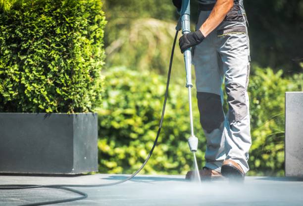 Best Restaurant Pressure Washing  in Madison Heights, MI