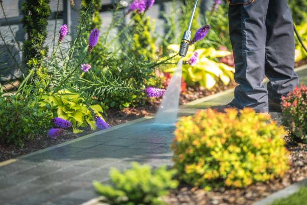 Best Animal Enclosure Cleaning  in Madison Heights, MI
