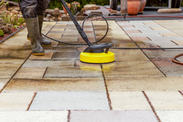 Best Dumpster Area Cleaning  in Madison Heights, MI